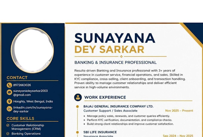write ats friendly cvs and professional resumes